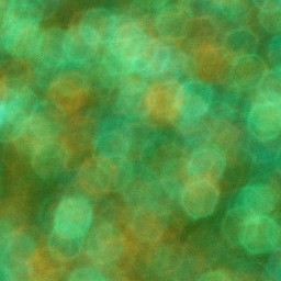 Bokeh-495